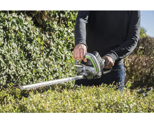 Person schneidet Hecke mit einer Heckenschere