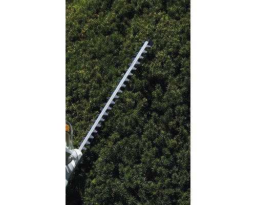 Heckenschere im Einsatz an einer Hecke