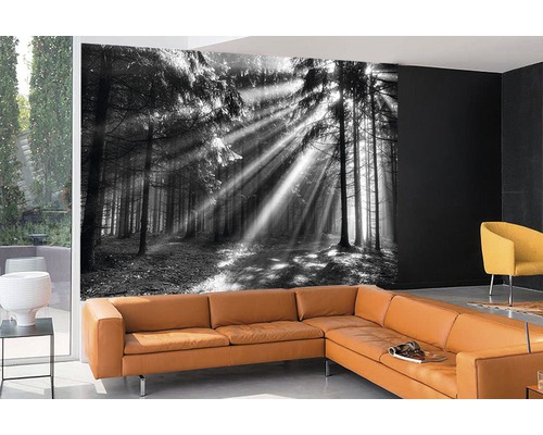 Fototapete mit Schwarzweiß-Waldmotiv in modernem Wohnzimmer