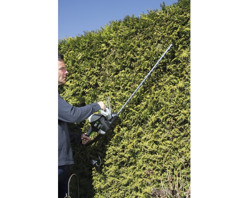 Mann schneidet Hecke mit einer Heckenschere
