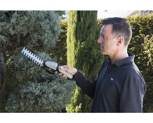 Mann schneidet Hecke mit Akku-Heckenschere im Garten.