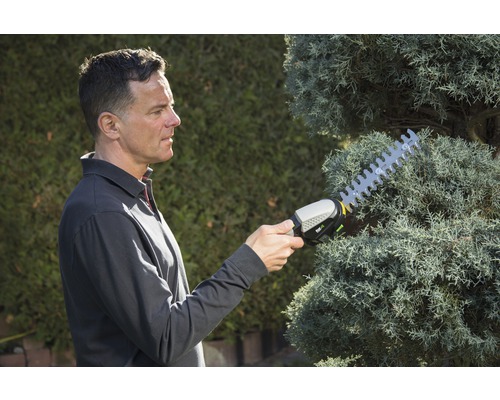 Mann schneidet Hecke mit einer Heckenschere