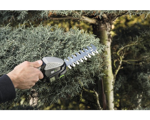 Heckenschere im Einsatz an einer Hecke