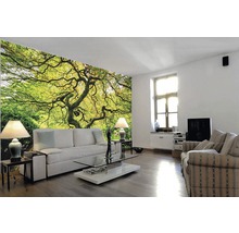Wohnzimmer mit Fototapete mit Baum Motiv