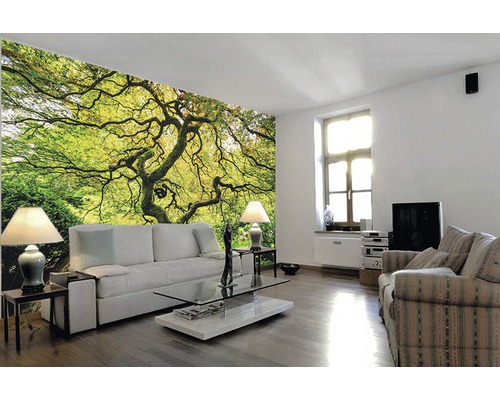 Wohnzimmer mit Fototapete mit Baum Motiv
