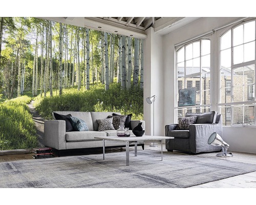 Wohnzimmer mit Fototapete, Sofa, Sessel, Teppich und Couchtisch