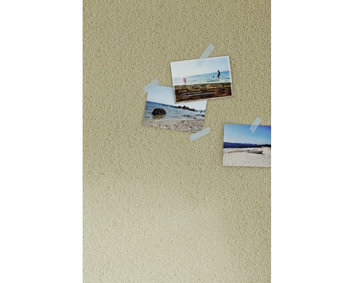 Fotografien mit Strandmotiven an einer Wand befestigt
