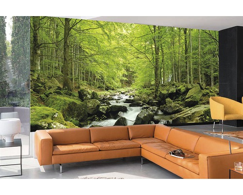 Fototapete mit einem Waldmotiv und einem Bachlauf im Wohnzimmer