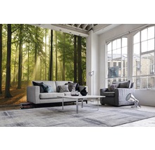 Wohnzimmer mit Waldtapete, Sofa, Sessel, Teppich und Tisch