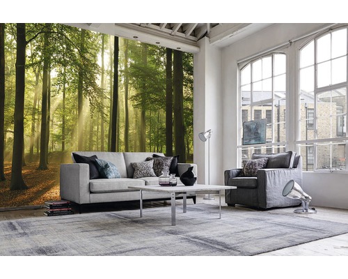 Wohnzimmer mit Waldtapete, Sofa, Sessel, Teppich und Tisch