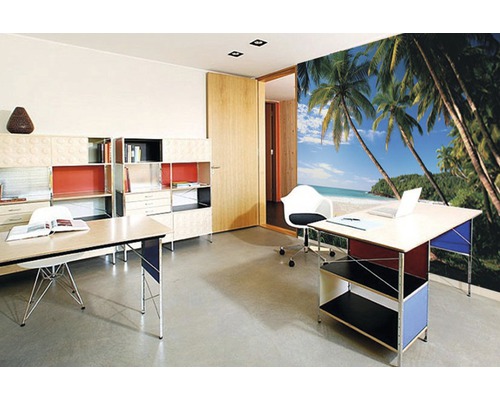 Büro mit Schreibtischen, Regalen und Fototapete