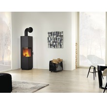 Kaminofen Hark Korpus schwarz Verkleidung Stahl 6 kW