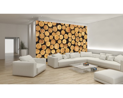 Heller Wohnraum mit Wandbild aus Holzstapeln, Sofa und Couchtisch