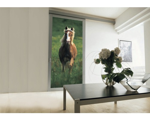 Schiebetür mit Pferde Motiv in einem Wohnraum