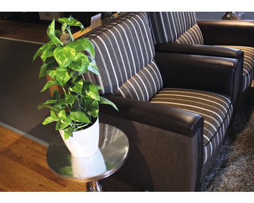 Wohnzimmer-Szene mit Sofa, Beistelltisch und Zimmerpflanze