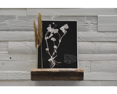 Dekorative Pflanzengrafik mit getrocknetem Gras auf Holzregal vor einer Wandpaneele