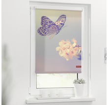 Klemmrollo Lichtblick ohne Bohren Schmetterling 60x150 cm inkl. Klemmträger-thumb-0