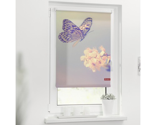 Klemmrollo Lichtblick ohne Bohren Schmetterling 60x150 cm inkl. Klemmträger-0