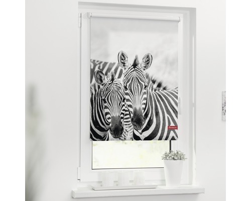 Klemmrollo Lichtblick ohne Bohren Zebra 80x150 cm inkl. Klemmträger