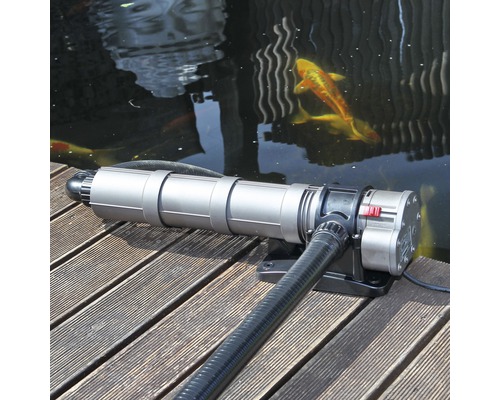 Teichsauger neben einem Teich mit Fischen auf Holzsteg