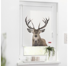 Fenster mit Rollo und Hirschmotiv