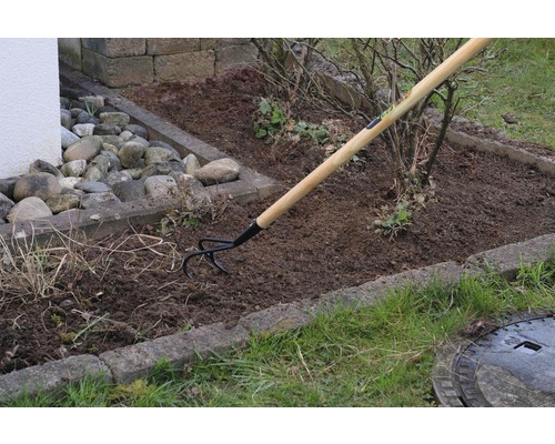 Gartenharke mit Holzstiel im Einsatz zur Bodenbearbeitung im Gartenbeet.