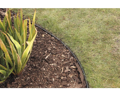 Gartenszene mit Rasen, Rindenmulch und einer Rasenkante zur Begrenzung