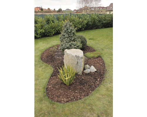 Gartenszene mit Baum, Strauch, Mulch und Steinen