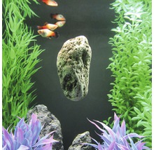 Aquarienszene mit Felsen, Fischen und Pflanzen