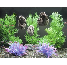 Aquarium mit Pflanzen und Steinen als Dekoration sowie Fischen