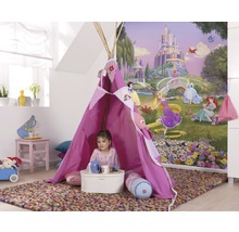 Fototapete Papier 4-4026 Disney Edition 4 Disney Princess Sunset 4-tlg. 184 x 254 cm