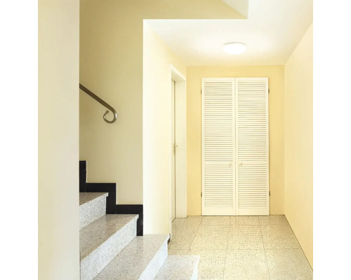 Heller Flur mit Treppe, Garderobenschrank und Deckenleuchte