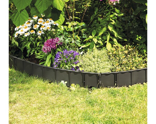 Garten mit Rasenkantensteinen und verschiedenen Pflanzen.