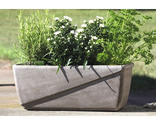Rechteckiger Pflanzkasten aus Stein mit Kräutern und Blumen
