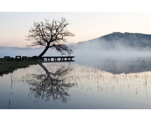 Morgendliche Szene mit See, Steg und Baum
