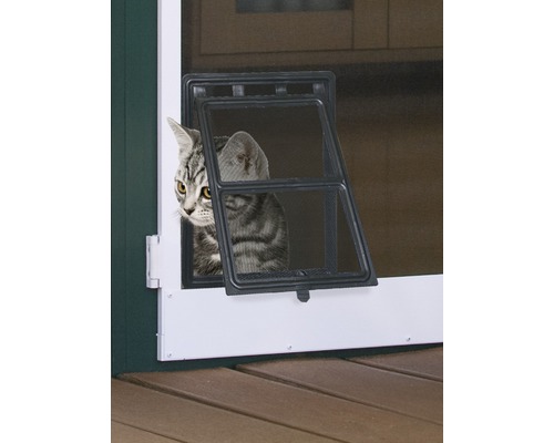 Katze Hund Tür Windhager null 200 mm schwarz Katze Hund Tür Windhager null 200 mm schwarz