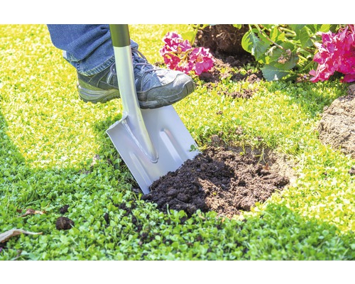 Eine Person benutzt einen Spaten, um ein Loch in den Garten zu graben.