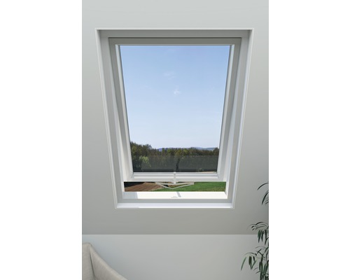 Dachfenster mit Insektenschutzgitter und Blick auf die Landschaft