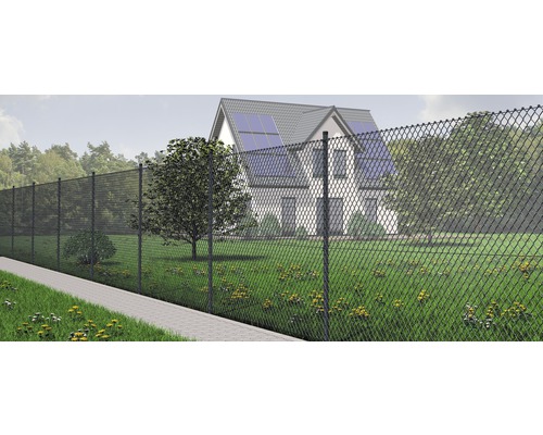 4-Eckgeflecht Maschenweite 60 mm, 15x2 m anthrazit Drahtzaun vor einem Haus mit Garten