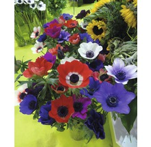 Blumenstrauß mit Anemonen und Sonnenblumen