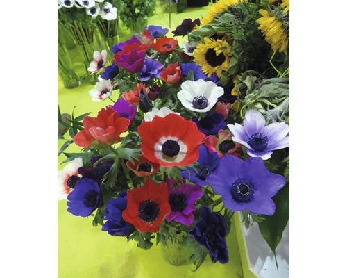 Blumenstrauß mit Anemonen und Sonnenblumen