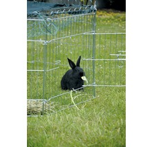 Schwarzes Kaninchen im Kleintiergehege auf Gras