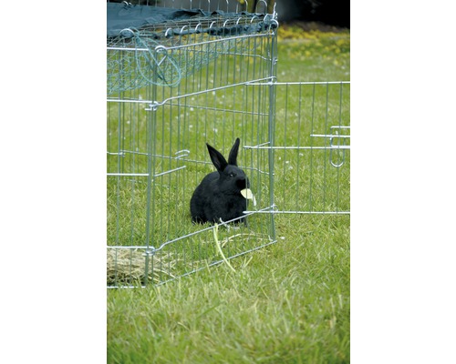 Schwarzes Kaninchen im Kleintiergehege auf Gras