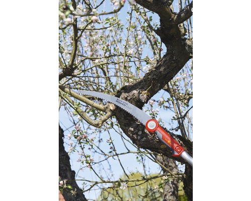 Astsäge schneidet Ast an Baum