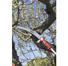 Astsäge beim Beschneiden eines Baumes mit Blüten