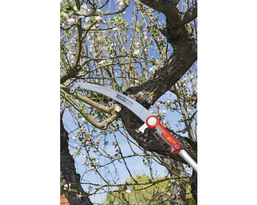 Astsäge beim Beschneiden eines Baumes mit Blüten