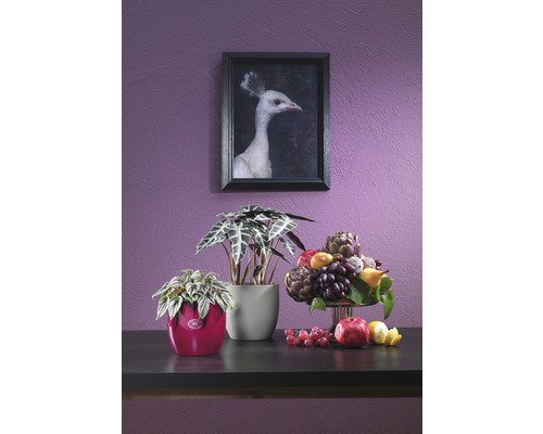 Dekorative Zimmergestaltung mit Pflanzen in Pflanzgefäßen und einem Stillleben mit Früchten