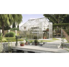 Gewächshaus im Garten mit Pflanzen