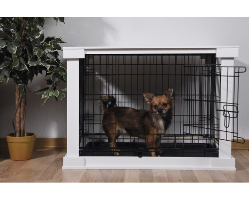 Hund in Hundebox mit Gittertür und weißem Rahmen