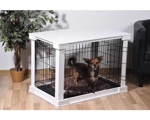 Hund in weißer Hundebox mit Gittertür